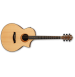 IBANEZ AEW21VK NT Elektro-akustična kitara